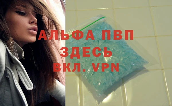 крисы Володарск