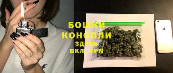метадон Горнозаводск