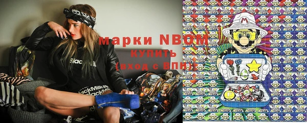 крисы Володарск