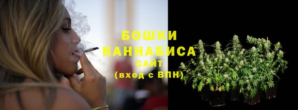 метадон Горнозаводск