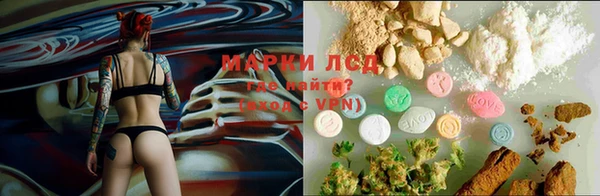 прущие крисы Верхний Тагил